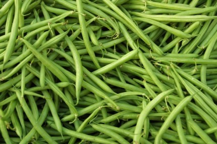 haricots-verts2