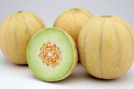 melons2